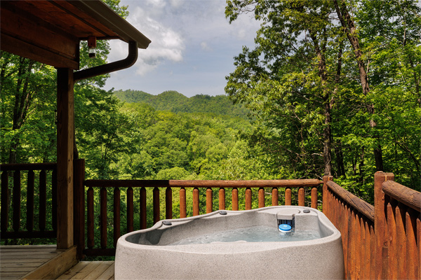 ATyme to Remember romantic nantahala log cabin