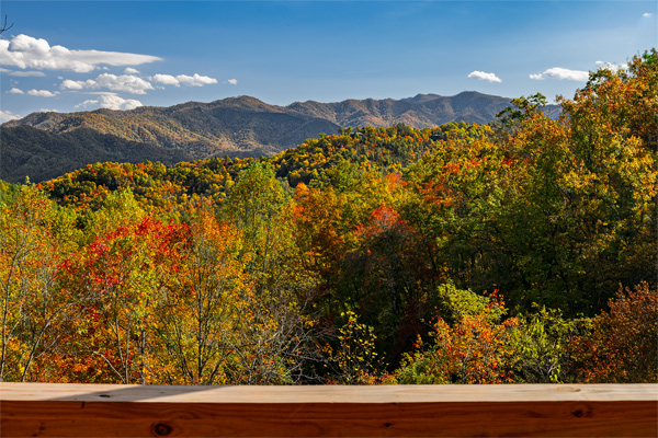 High Timber vacation rental 