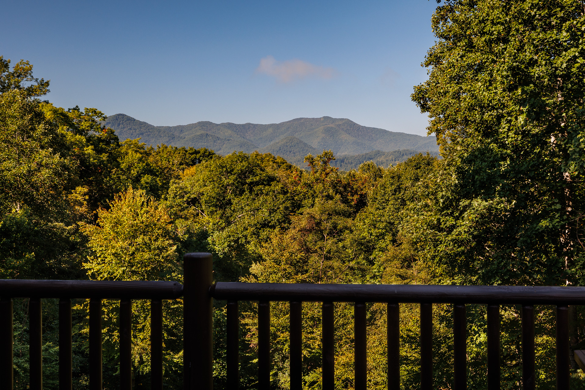 Peaceful Paradise log cabin on Fontana lake