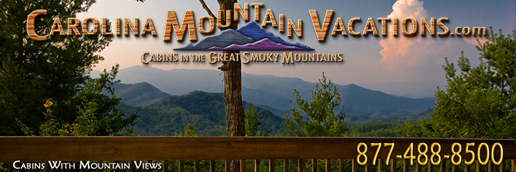 MountainView_header2.jpg